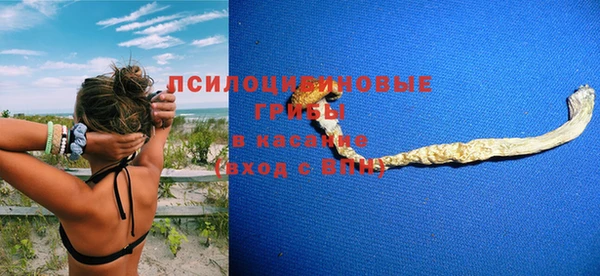 прущие крисы Горнозаводск