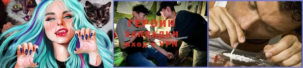 гидра Гусев