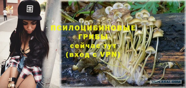 гашик Вяземский