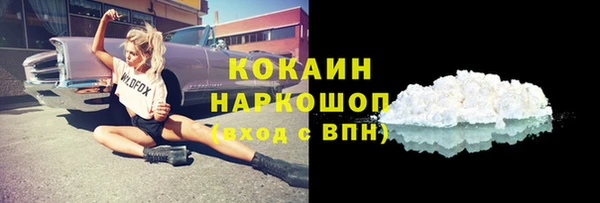 гидра Гусев