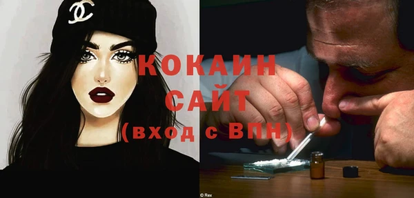 гашик Вяземский