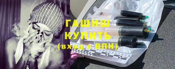 шишки Гусиноозёрск