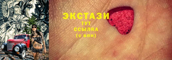 шишки Гусиноозёрск