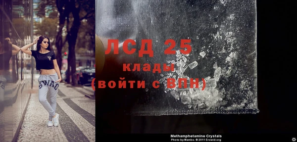 гашик Вяземский