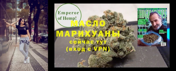 амф Гусь-Хрустальный