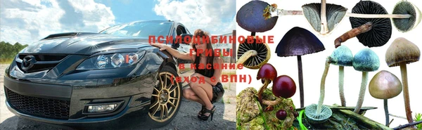 мяу мяу мука Вязники