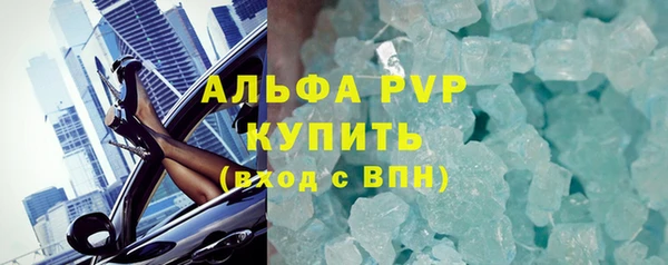 амф Гусь-Хрустальный
