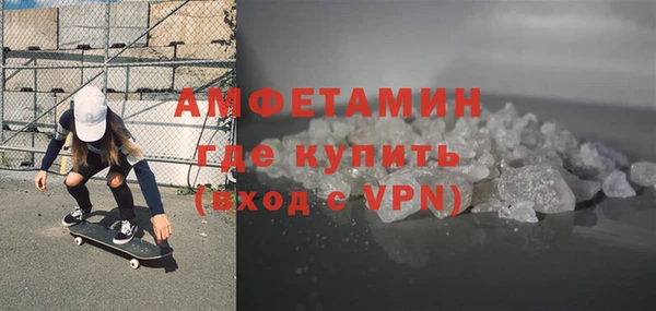 шишки Гусиноозёрск