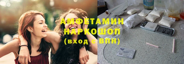 гидра Гусев