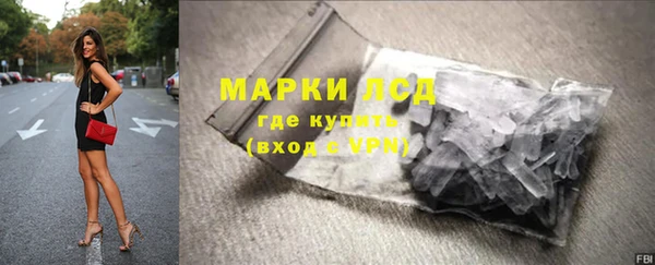 амф Гусь-Хрустальный