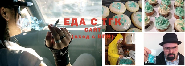 шишки Гусиноозёрск