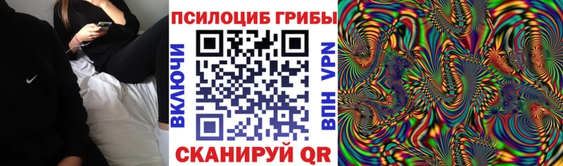 Псилоцибиновые грибы Psilocybe  Давлеканово 
